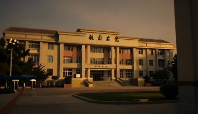 技术支持中适配方案的取舍：常见问题与处理方法