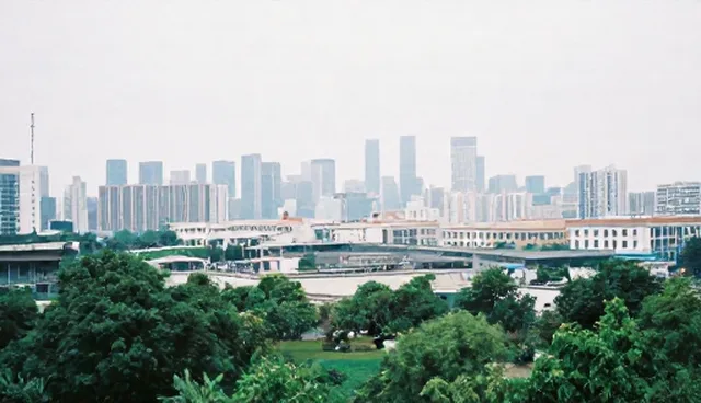 软件技术开发中的技术支持问题及应对方向